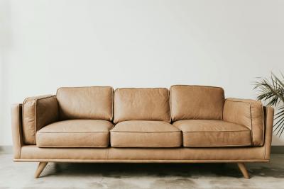 Use Mid Century Sofas to Elevate Your Living Room