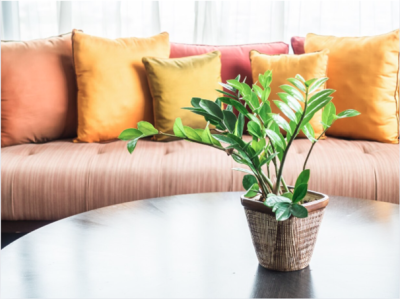 Sustainable Living: Embracing Eco-Friendly Furniture for a Greener Home