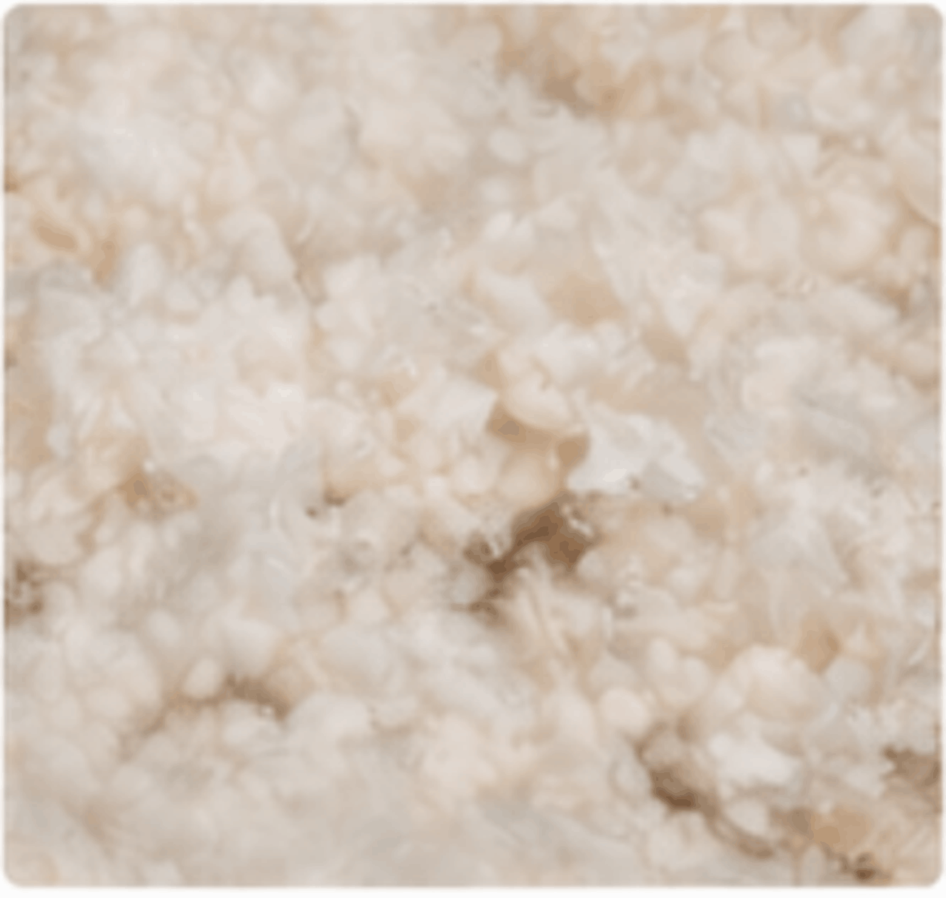 CertiPUR-US Safe Foam